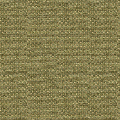 BRUNSCHWIG & FILS BR-81782.406.0 YORKE CHENILLE MOSS Fabric - Eade's Wallpaper