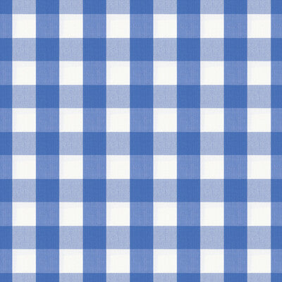 BRUNSCHWIG & FILS BR-89725.235.0 EXCHEQUER COTTON CHECK CORNFLOWER Fabric - Eade's Wallpaper