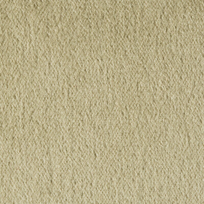 BRUNSCHWIG & FILS BR-89778.311.0 AUTUN MOHAIR VELVET EUCALYPTUS Fabric - Eade's Wallpaper