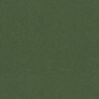 BRUNSCHWIG & FILS BR-89778.456.0 AUTUN MOHAIR VELVET BAYLEAF Fabric - Eade's Wallpaper