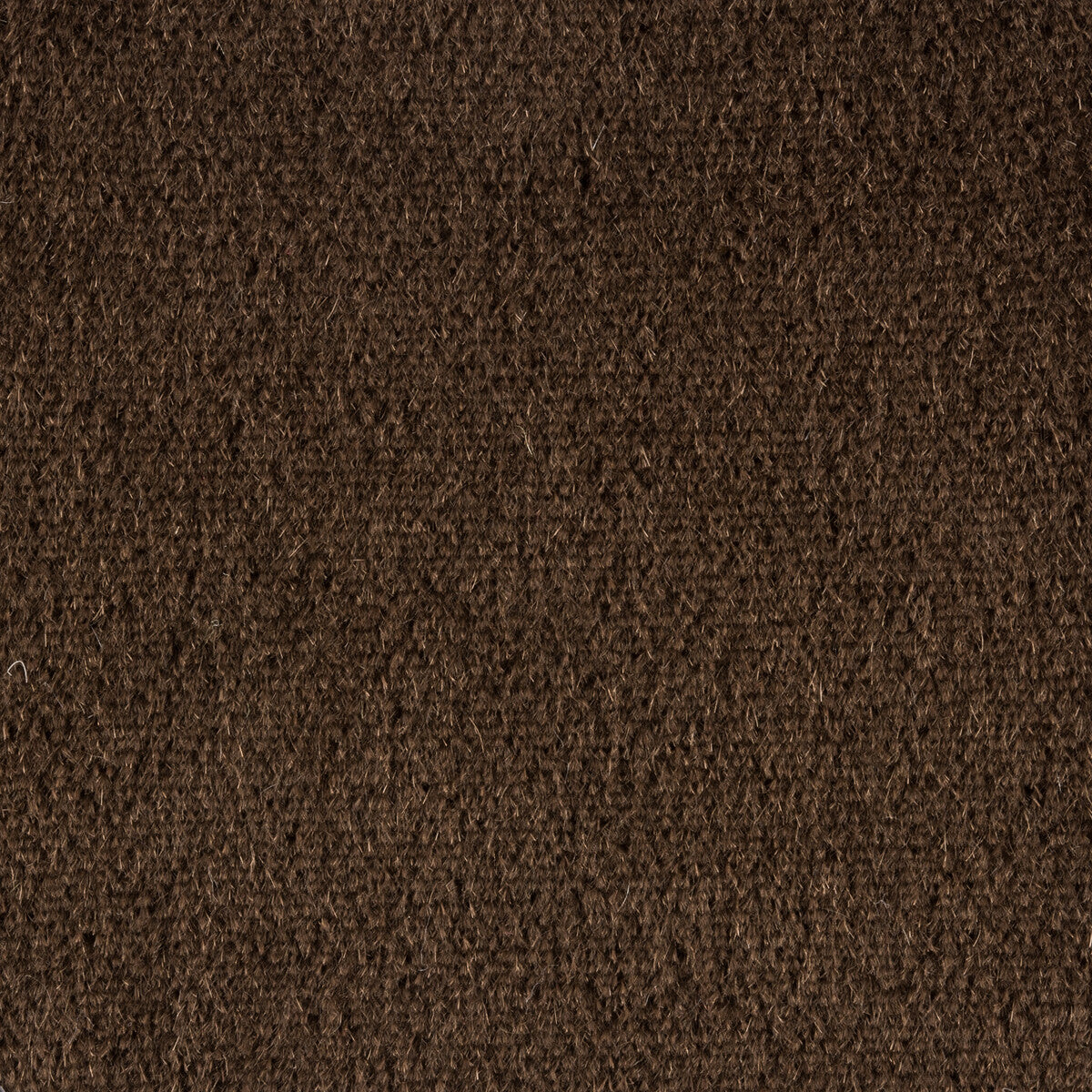 BRUNSCHWIG & FILS BR-89778.871.0 AUTUN MOHAIR VELVET GRIZZLI Fabric - Eade's Wallpaper