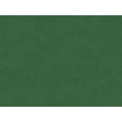 BRUNSCHWIG & FILS BR-89779.440.0 LUBECK COTTON VELVET IVY Fabric - Eade's Wallpaper