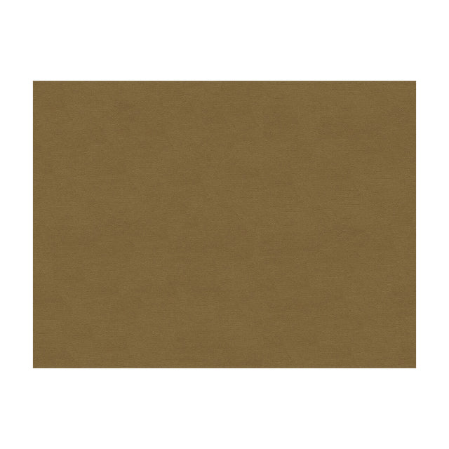 BRUNSCHWIG & FILS BR-89779.812.0 LUBECK COTTON VELVET FAWN Fabric - Eade's Wallpaper