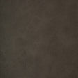 KRAVET DESIGN BRINE.21.0 KRAVET DESIGN BRINE-21 Fabric - FAUX LEATHER IV