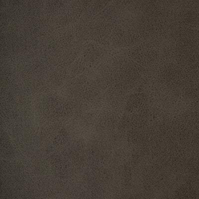 KRAVET DESIGN BRINE.21.0 KRAVET DESIGN BRINE-21 Fabric - FAUX LEATHER IV