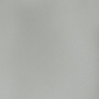 KRAVET DESIGN KRAVET DESIGN BUFF.11.0 in BUFF-11 Fabric - UL