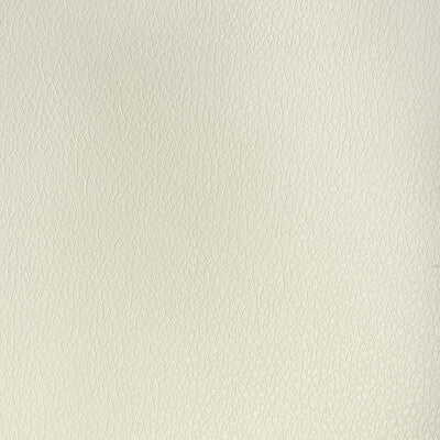 KRAVET DESIGN KRAVET DESIGN BUFF.1116.0 in BUFF-1116 Fabric 