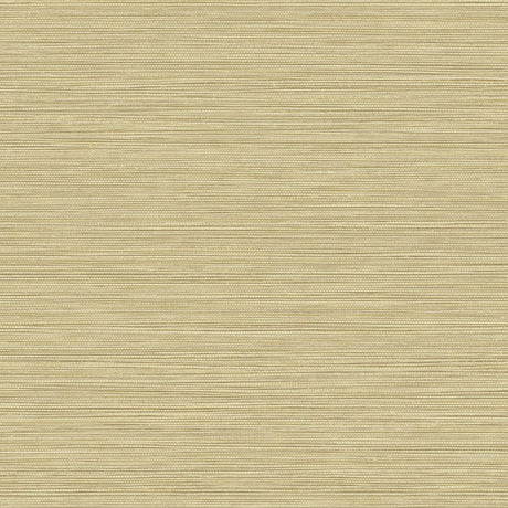Seabrook Designs BV30103 Wallpaper - Eade's Wallpaper & Fabric