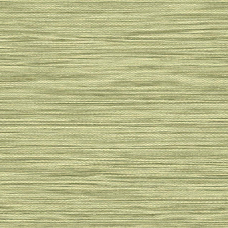Seabrook Designs BV30104 Wallpaper - Eade's Wallpaper & Fabric