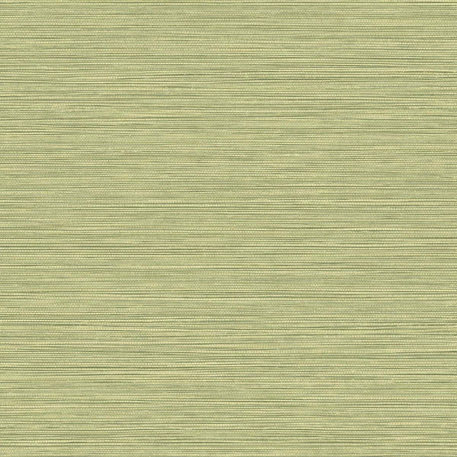 Seabrook Designs BV30104 Wallpaper - Eade's Wallpaper & Fabric