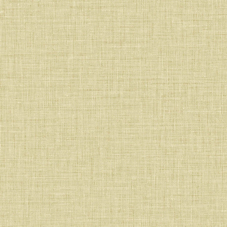 Seabrook Designs BV30203 Wallpaper - Eade's Wallpaper & Fabric