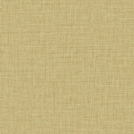 Seabrook Designs BV30213 Wallpaper - Eade's Wallpaper & Fabric