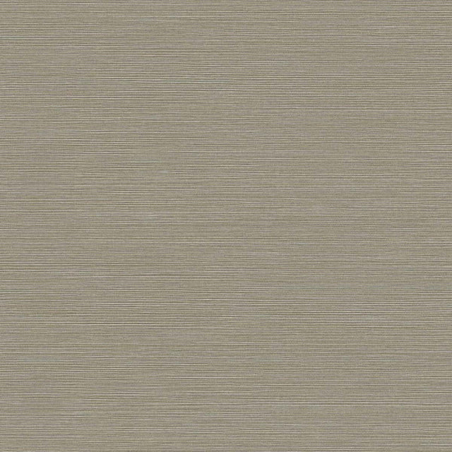 Seabrook Designs BV30416 Wallpaper - Eade's Wallpaper & Fabric