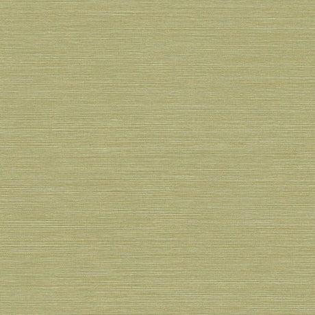 Seabrook Designs BV30424 Wallpaper - Eade's Wallpaper & Fabric