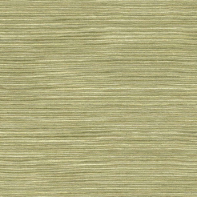 Seabrook Designs BV30424 Wallpaper - Eade's Wallpaper & Fabric