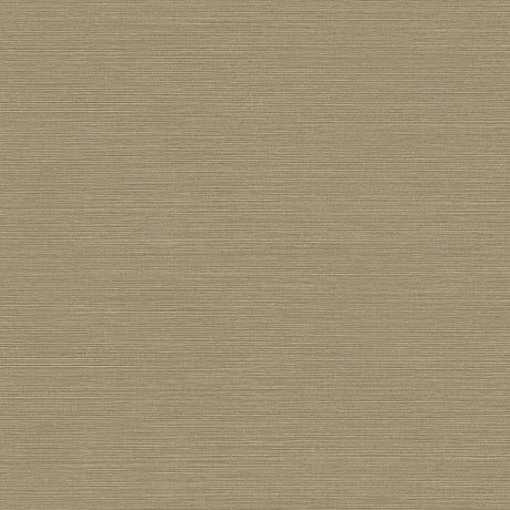 Seabrook Designs BV30436 Wallpaper - Eade's Wallpaper & Fabric