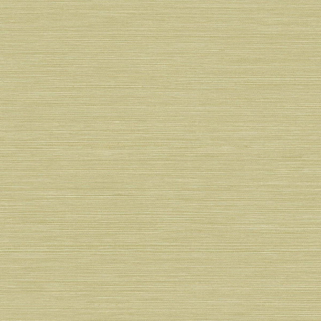 Seabrook Designs BV30454 Wallpaper - Eade's Wallpaper & Fabric