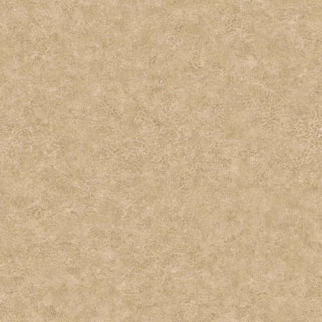 Seabrook Designs BV30605 Wallpaper - Eade's Wallpaper & Fabric