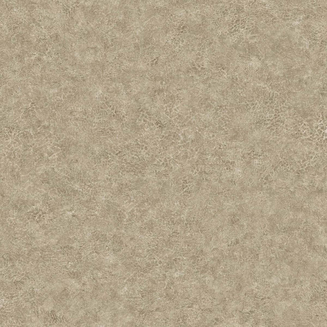 Seabrook Designs BV30607 Wallpaper - Eade's Wallpaper & Fabric