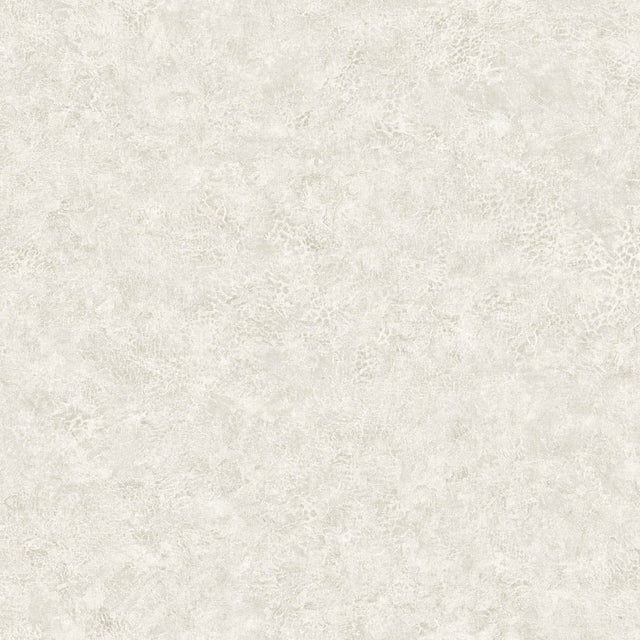 Seabrook Designs BV30610 Wallpaper - Eade's Wallpaper & Fabric