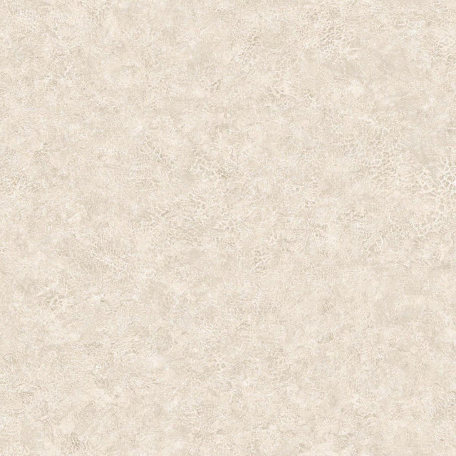 Seabrook Designs BV30615 Wallpaper - Eade's Wallpaper & Fabric
