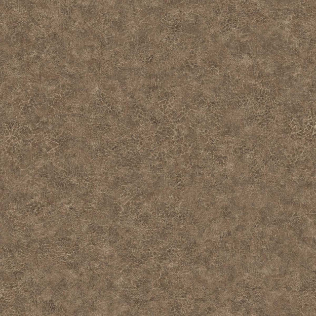 Seabrook Designs BV30616 Wallpaper - Eade's Wallpaper & Fabric