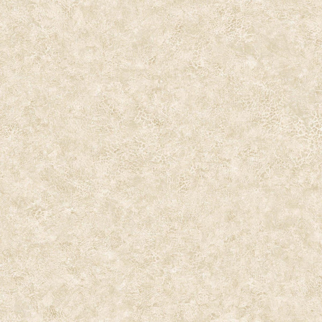 Seabrook Designs BV30625 Wallpaper - Eade's Wallpaper & Fabric
