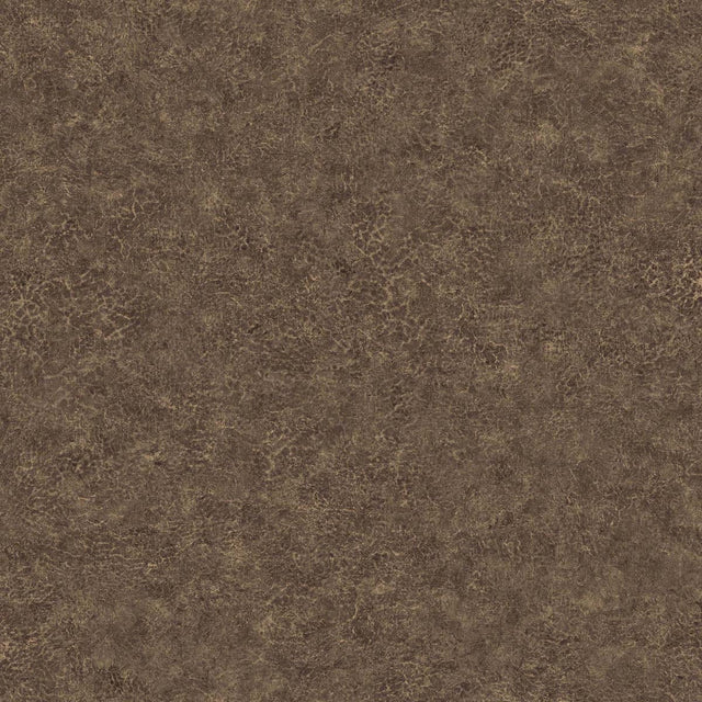 Seabrook Designs BV30626 Wallpaper - Eade's Wallpaper & Fabric