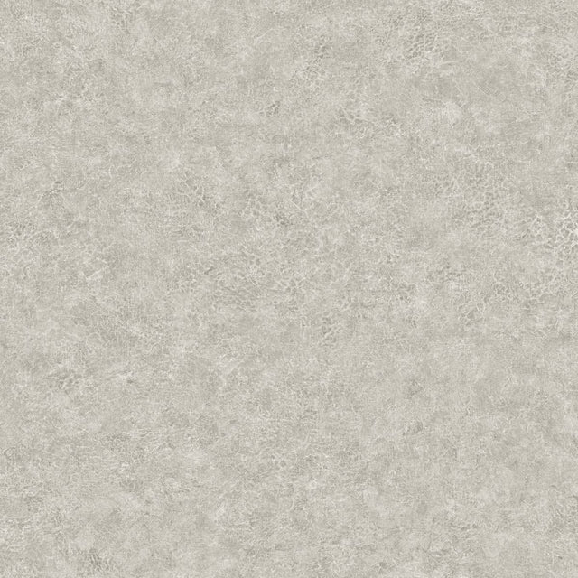 Seabrook Designs BV30628 Wallpaper - Eade's Wallpaper & Fabric