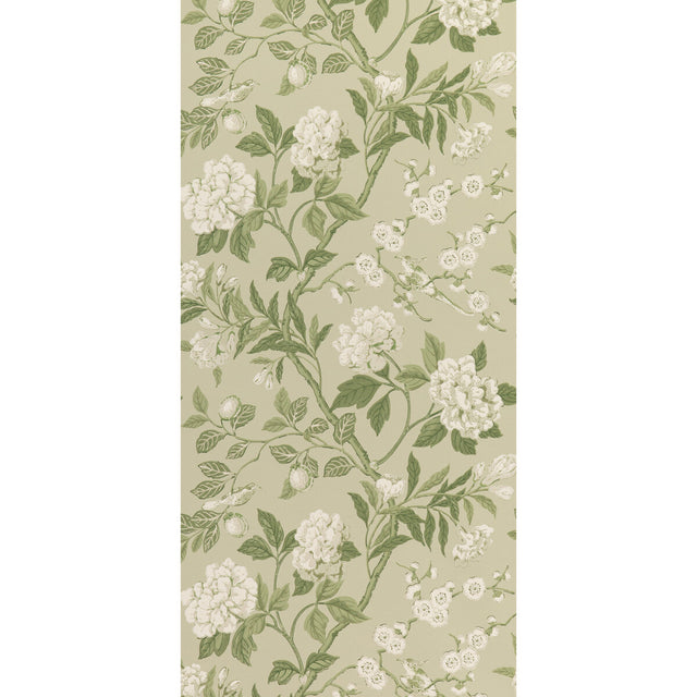 G P & J BAKER BW45000.10.0 EMPEROR'S GARDEN SOFT GREEN Wallpaper - Eade's Wallpaper