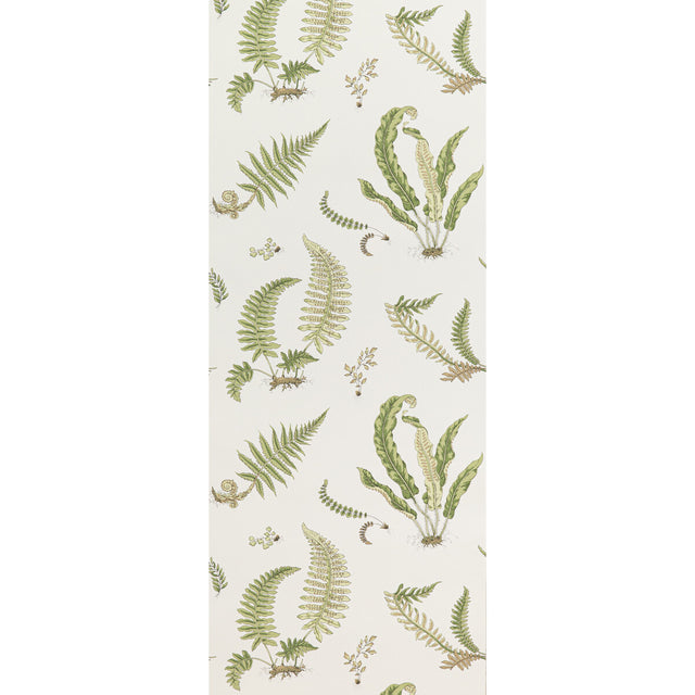 G P & J BAKER BW45044.10.0 FERNS LEAF Wallpaper - Eade's Wallpaper