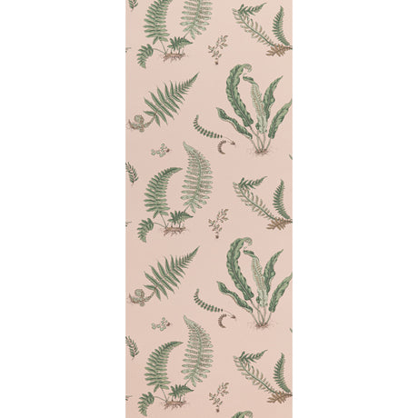 G P & J BAKER BW45044.11.0 FERNS BLUSH Wallpaper - Eade's Wallpaper