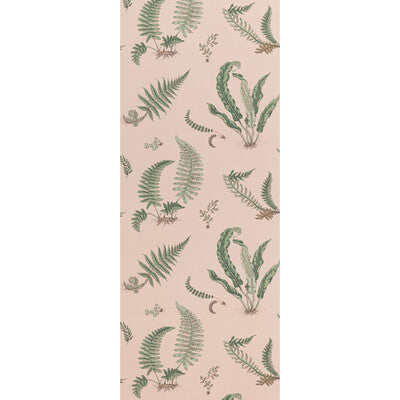 G P & J BAKER BW45044.11.0 FERNS BLUSH Wallpaper - Eade's Wallpaper