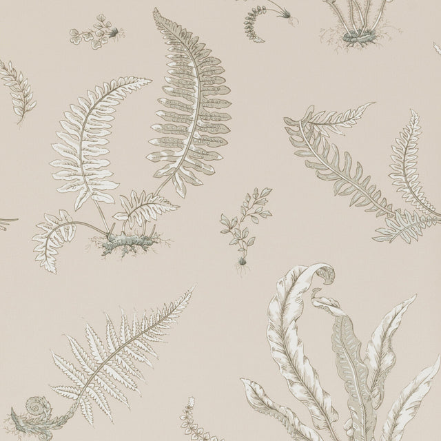 G P & J BAKER BW45044.8.0 FERNS LINEN Wallpaper - Eade's Wallpaper
