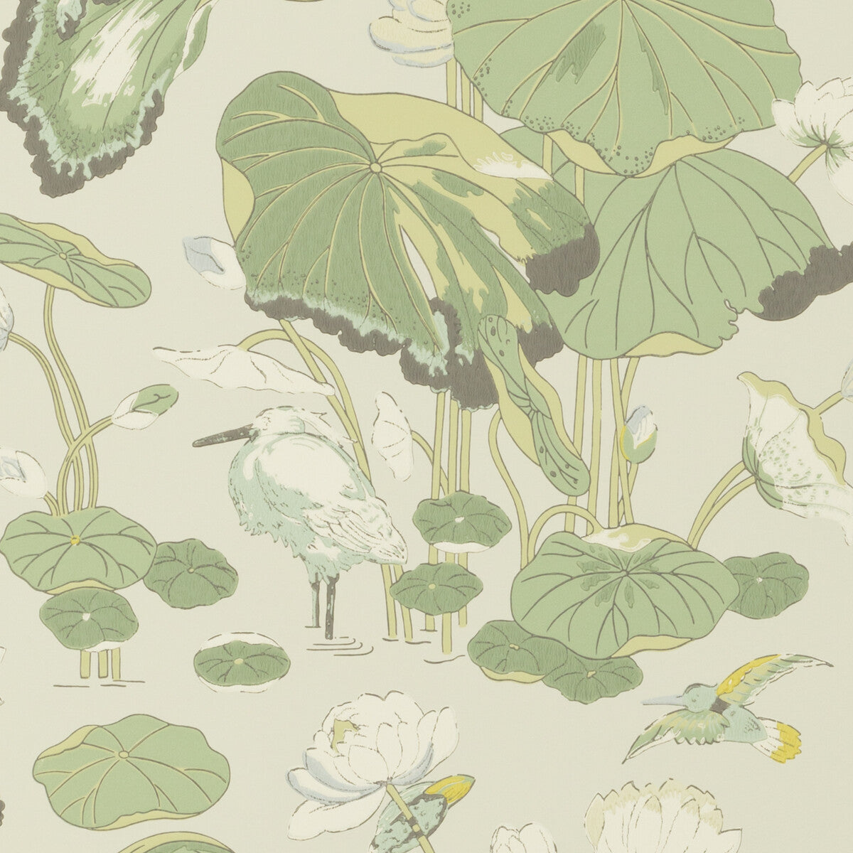 G P & J BAKER BW45083.4.0 NYMPHEUS BOTANICAL Wallpaper - Eade's Wallpaper