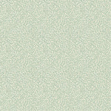 G P & J BAKER BW45116.2.0 TANSY AQUA Wallpaper - Eade's Wallpaper