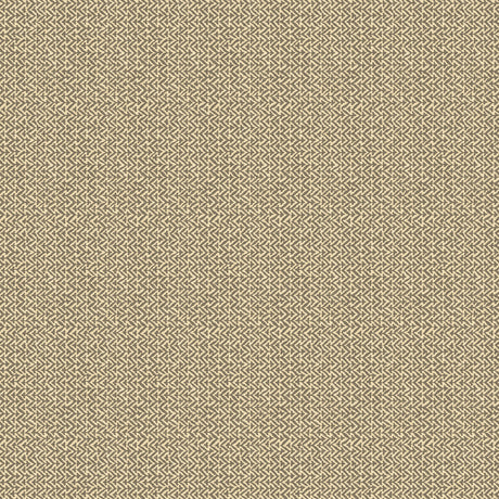 G P & J BAKER BW45118.8.0 TILLY CHARCOAL Wallpaper - Eade's Wallpaper