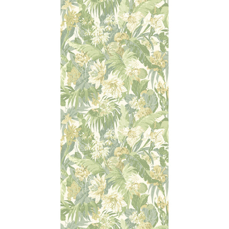 G P & J BAKER BW45132.4.0 TROPICAL FLORAL SOFT GREEN Wallpaper - Eade's Wallpaper