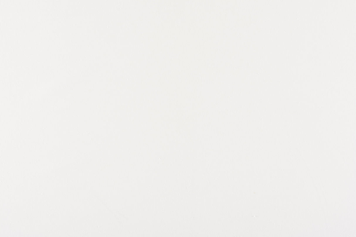 Scalamandre C5 0011PEBB WHITE CANVAS Fabric