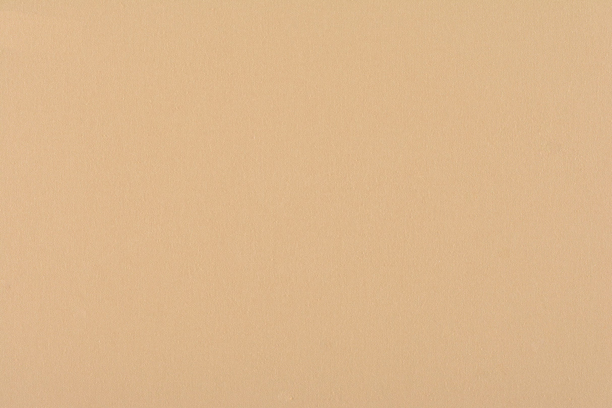 Scalamandre C5 0102PEBB SAND CANVAS Fabric