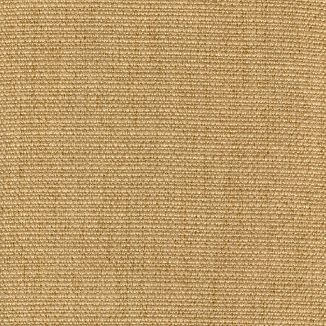 Eade’s CACHAY GOLD GOLD