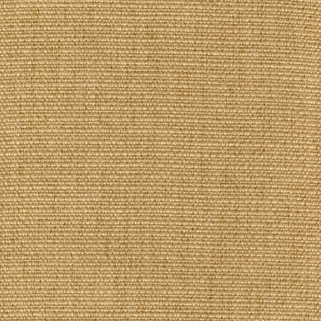 Eade’s CACHAY GOLD GOLD