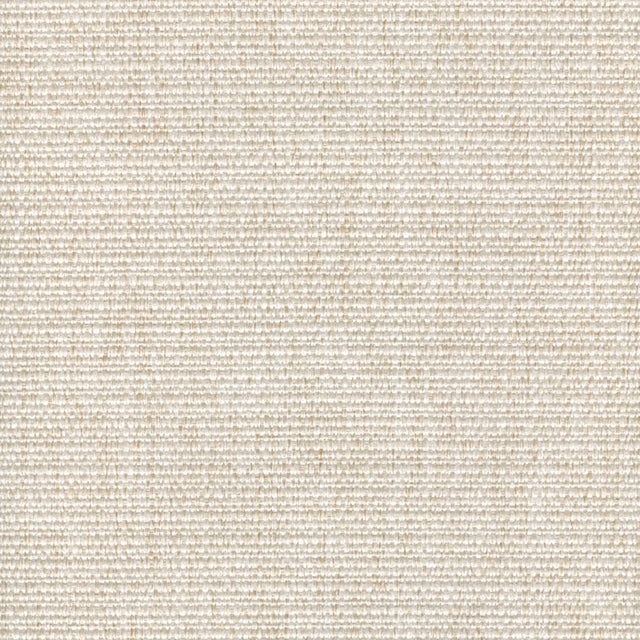 Eade’s CACHAY PEARL PEARL