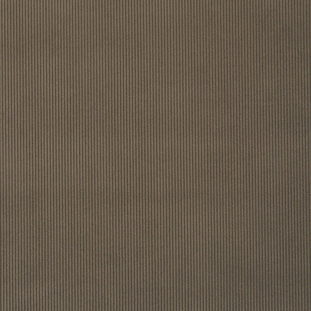 Crypton 97-J7031 CAMPBELL Fabric - Eade's Wallpaper & Fabric