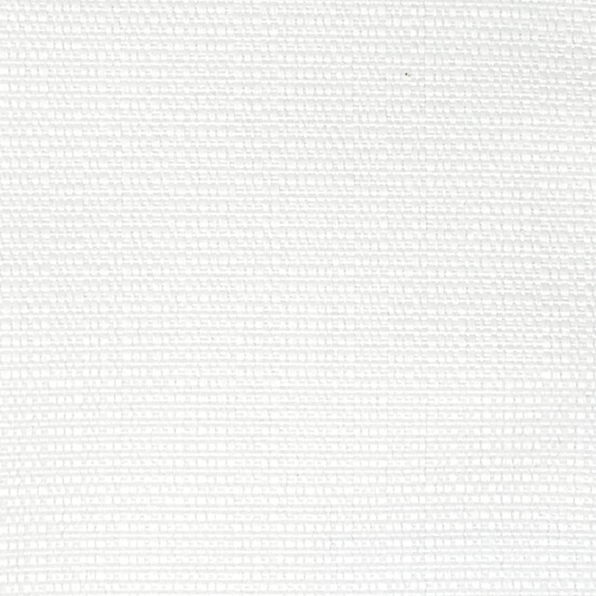 STOUT CAPR-1 CAPRI 1 SALT Fabric - Eades Wallpaper & Fabric
