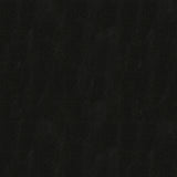 KRAVET COUTURE CAPTURED.8.0 CAPTURED SHADOW Fabric - Eade's Wallpaper