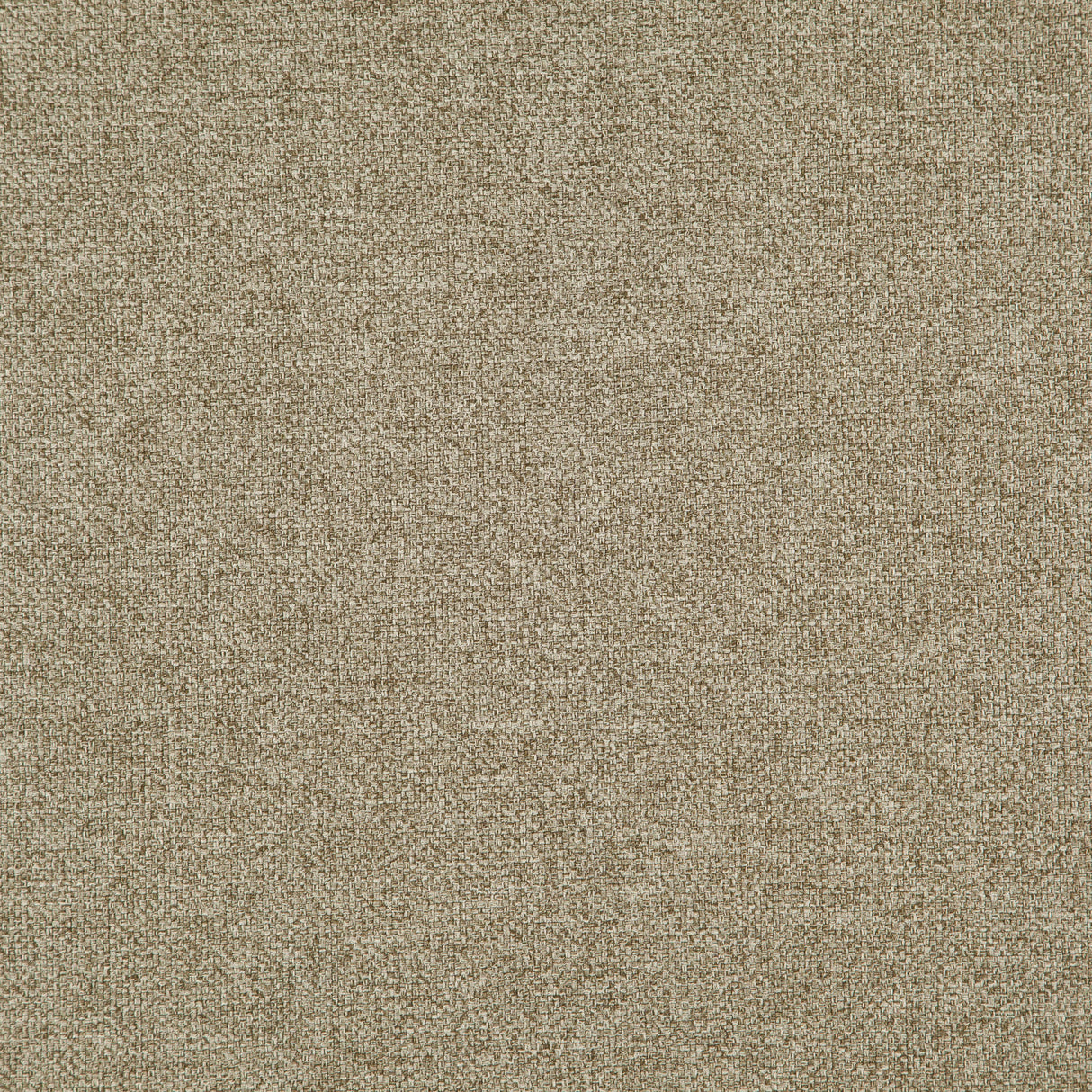 everyday 37-J8301 CARMEN Fabric