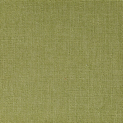 KRAVET CONTRACT CASLIN.123.0 CASLIN MEADOW Fabric - Eade's Wallpaper