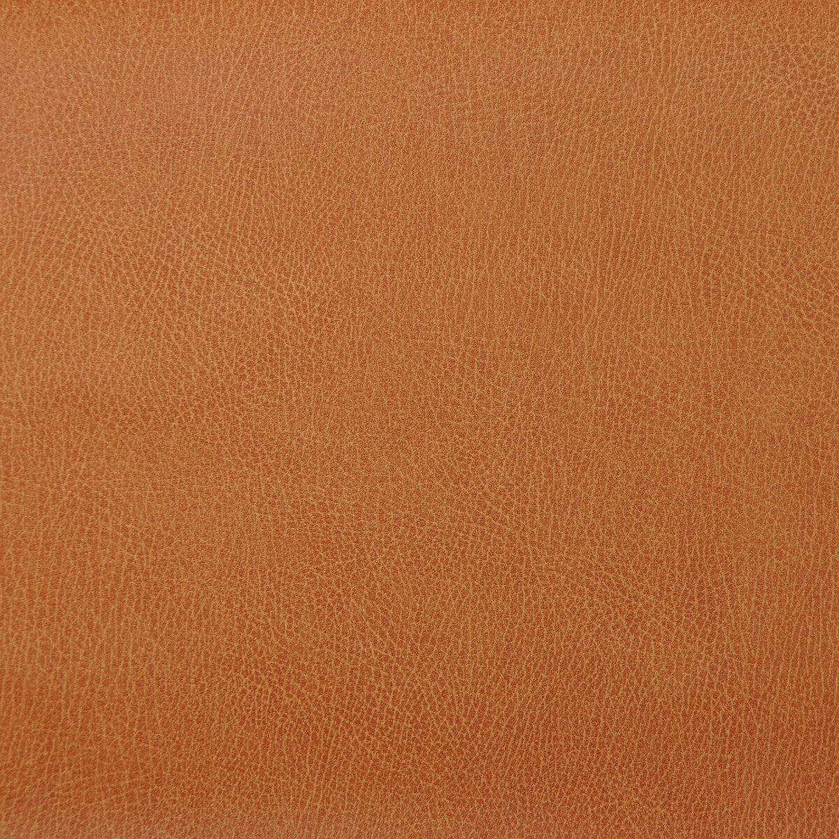 KRAVET DESIGN CASWELL.12.0 KRAVET DESIGN CASWELL-12 Fabric - Eade's Wallpaper