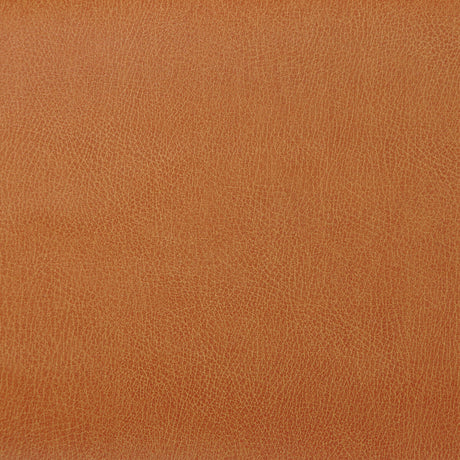 KRAVET DESIGN CASWELL.12.0 KRAVET DESIGN CASWELL-12 Fabric - Eade's Wallpaper